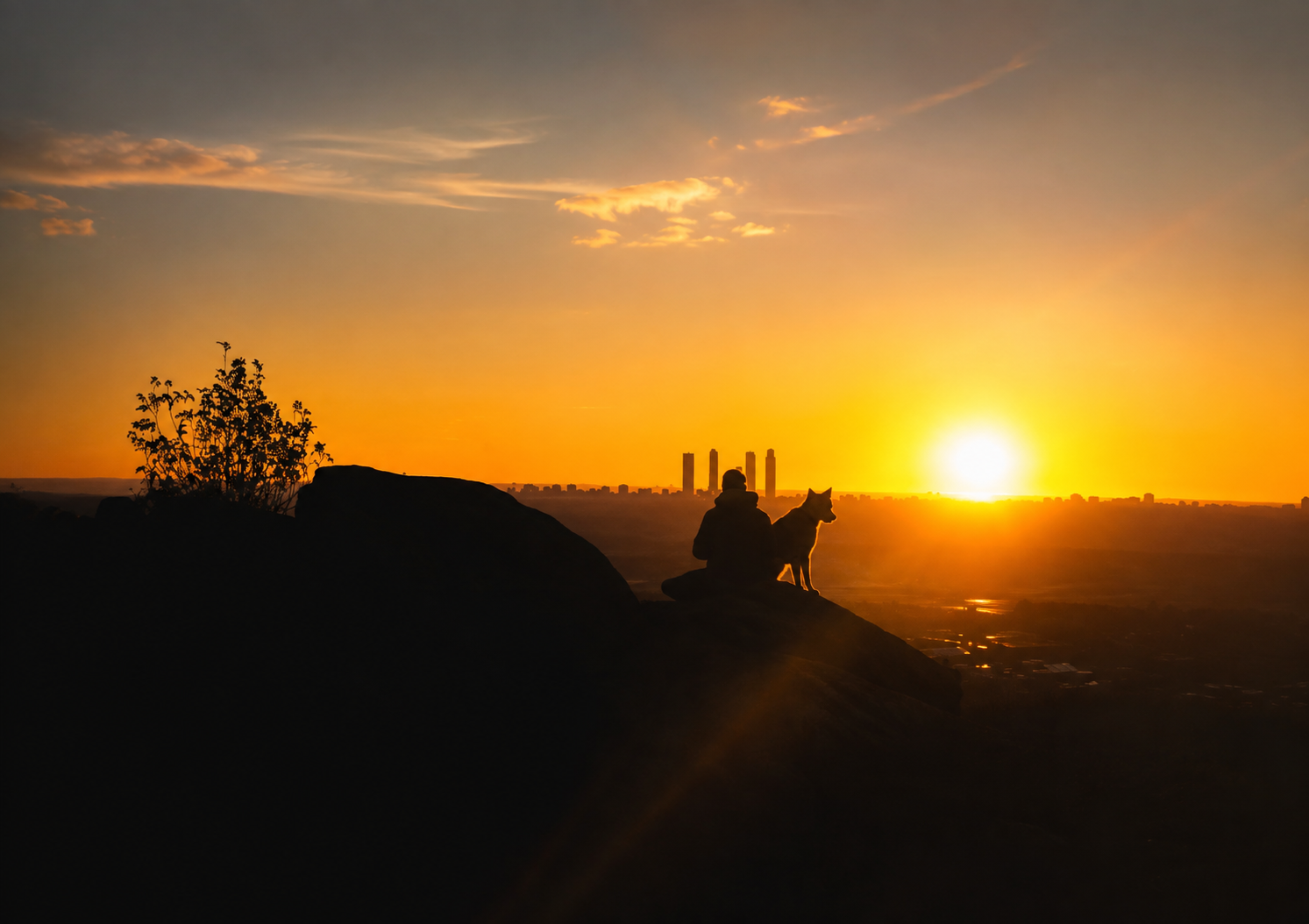 Silueta al atardecer con un perro sobre Madrid