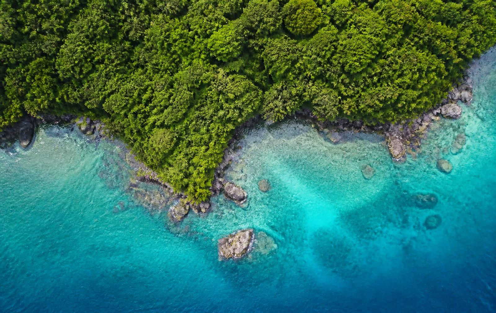 Vista aérea de la selva encontrándose con el mar